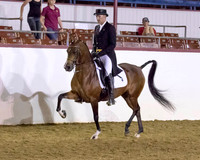 64 Arabian English Show Hack - Open