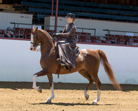 111 HA/AA Ladies Side Saddle - ATR