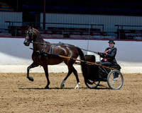 112 HA/AA Country Pl Driving - ATD