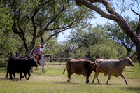 RS_CowWork18_5958