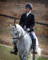 339 ~ Sir Robert P