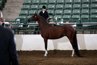 R322_CH_Tues_2251
