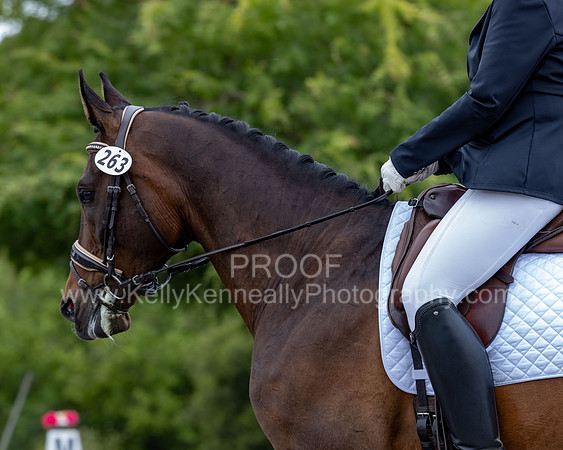 KalypsosKrownRoyal22-3589