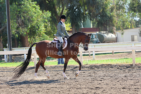 DAHA_FF22_4135