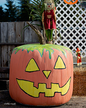 2016_HalloweenOpenShow_063