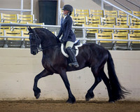 215 - R10 A/L Half Hunt Seat Eq 17 & Under
