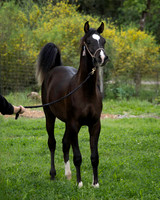 Maximiliano0326_0581