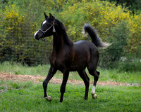 Maximiliano0326_0865