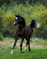 Maximiliano0326_0922