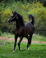 Maximiliano0326_0868