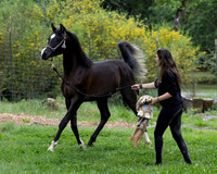 Maximiliano0326_0858