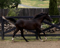 Maximiliano0326_2130