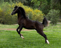 Maximiliano0326_0697