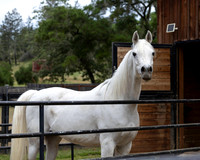 Alioto0326_4170