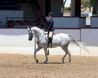 114 Hunter Seat Equitation Not to Jump JTR 18 & Under