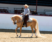 115 HA/AA Wester Pl Jr. Horse 5 & Under