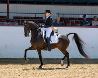 116 HA/AA English Show Hack - ATR