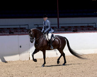118 HA/AA Hunter Pl - AATR Select
