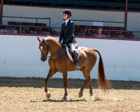 119 AHA Hunter Seat Equitation Medal Not to Jump - JTR 13 & Under
