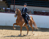 124 Saddle Seat Equitation - JTR 18 & Under