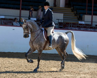 129 HA/AA Hunter Pl - AOTR