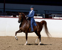 130 HA/AA Country English Pl - JTR Choice/Elite