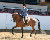 131 Arabian Hunter Pl - Mares & Geldings