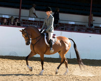 133 HA/AA Hunter Pl - JOTR 18 & Under
