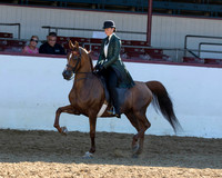 196 HA/AA English Pl - JOTR 18 & Under