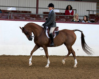 139 Arabian Hunter Pl - AAOTR 19-49 Yrs.