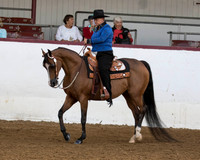 140 HA/AA Western Pl - Mares & Geldings