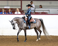 141 Arabian Western Pl - AATR Choice/Elite