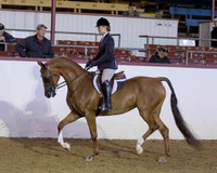 143 HA/AA Hunter Pl - AATR Choice/Elite