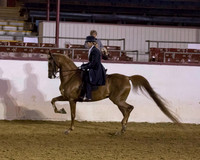 144 HA/AA English Pl - Open