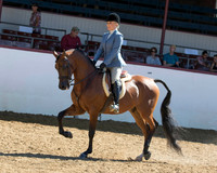 127 Arabian Hunter Pl - AAOTR 50 & Over