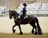 190.1 R10 Friesian Western Pl - ATR
