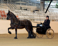 192 R10 Friesian Show Pleasure Driving - ATD