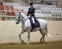 193 R1 A/L English Show Hack - ATR