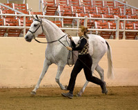 152 R1 Half A/L Mares/Geldings - All Ages