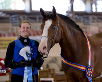 212 R1 A/L Showmanship - 17 & Under