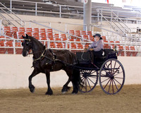 160 Opportunity Carriage Pleasure Driving - Open