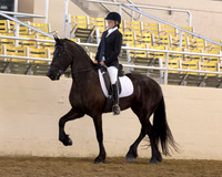 167 R10 Friesian Walk/Trot Pl - ATR