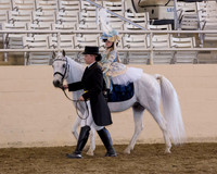 168 Leadline Riders 8 & Under