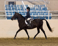 169 Opportunity Walk/Trot or Jog - Riders 8 & Under