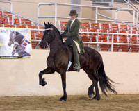 170 R10 Friesian Country English Pl - Open