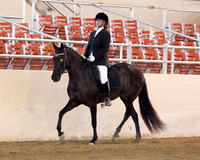 179 Opportunity English Equitation - ATR - OTAB