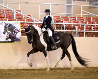 186 R10 PB FR Dressage Hack - ATR