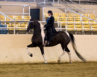 181 R10 PB FR English Pl Saddle Seat - Open