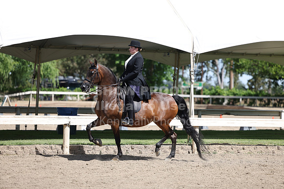 DAHA22_Thurs_0810