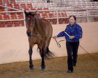 107 R1 A/L Geldings - All Ages - ATH